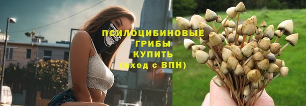 прущая мука Елабуга