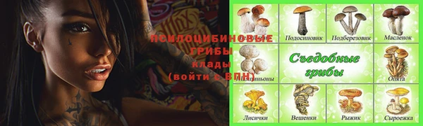 кокс Ельня