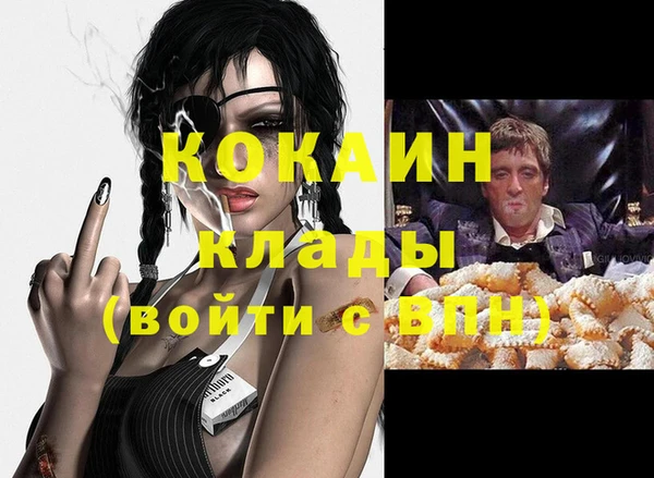 сатива Сафоново