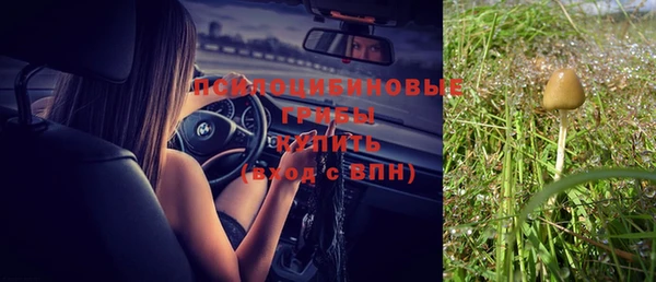 кокс Ельня