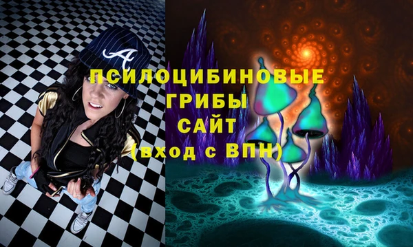 кокс Ельня