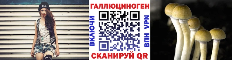 что такое   Ефремов  Псилоцибиновые грибы Magic Shrooms 