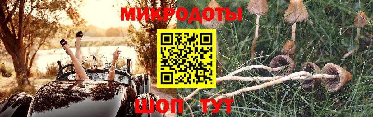 Псилоцибиновые грибы Cubensis  Галлюциногенные грибы Psilocybine cubensis  Ефремов  Вход с VPN 